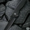 CIVIVI Picaro-Blk G10 (3.94" BW D2) C916D