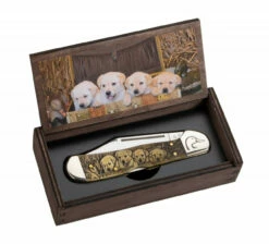 Case Copperlock 172525 Ducks Unlimited Embellished Smooth Natural Bone Handle (61549L SS) - Gift Set 3 Case Copperlock 172525 Ducks Unlimited Embellished Smooth Natural Bone Handle (61549L SS) - Gift Set -Knifeworks Sales Shop 17525 1 24275.1625176539