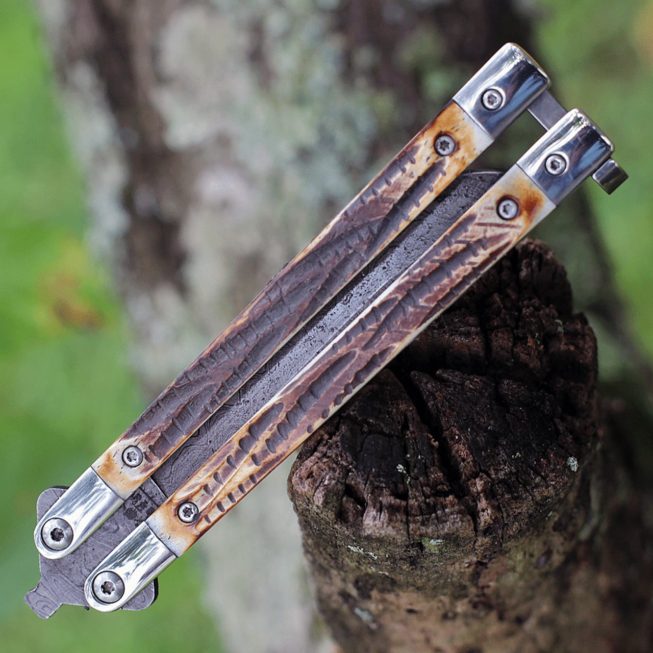 Bear & Son India Stag Bone Butterfly 517D, 3.5" High Definition Damascus Plain Blade, Brown Genuine India Stag Bone Handles 4 Bear & Son India Stag Bone Butterfly 517D, 3.5" High Definition Damascus Plain Blade, Brown Genuine India Stag Bone Handles - Image 4