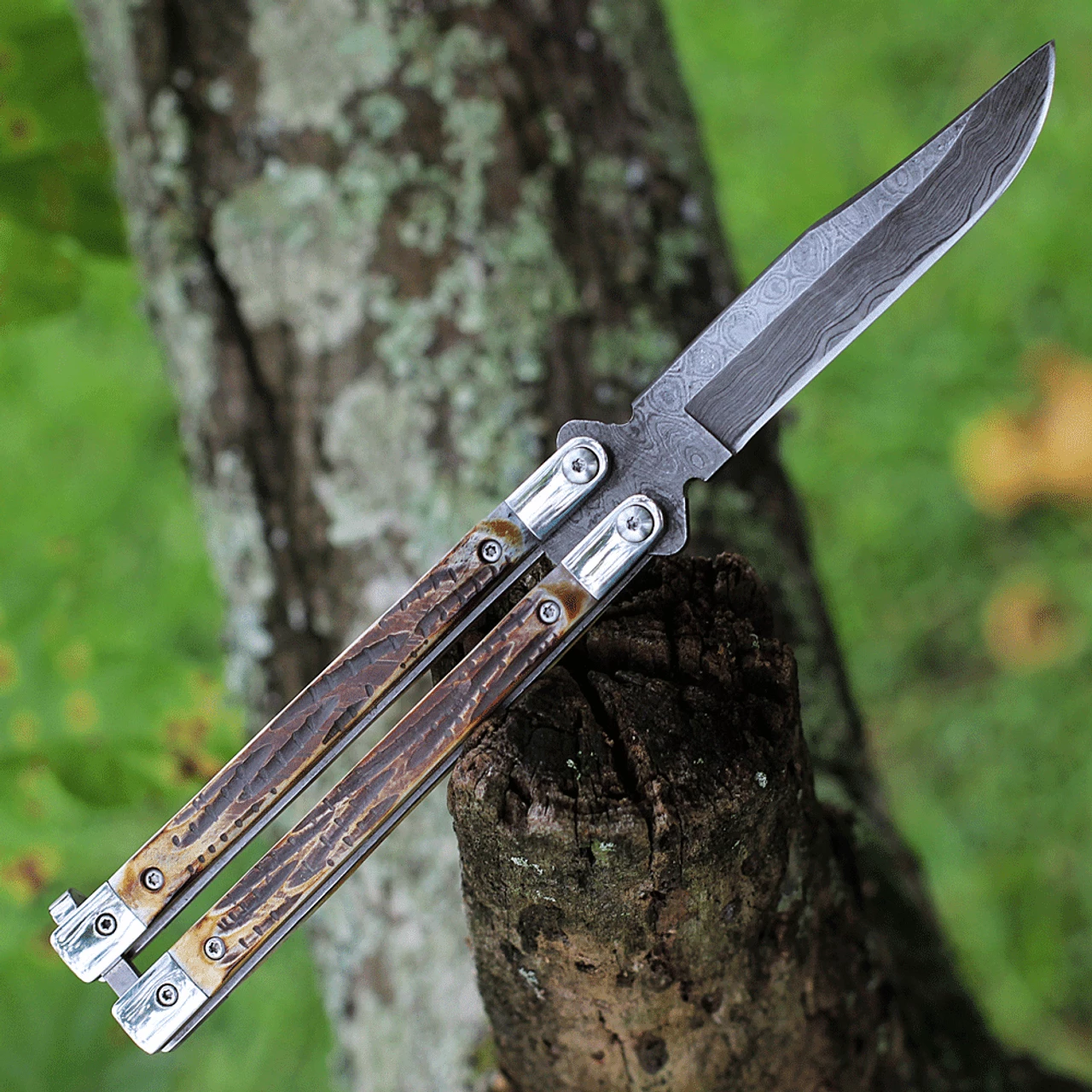 Bear & Son India Stag Bone Butterfly 517D, 3.5" High Definition Damascus Plain Blade, Brown Genuine India Stag Bone Handles 3 Bear & Son India Stag Bone Butterfly 517D, 3.5" High Definition Damascus Plain Blade, Brown Genuine India Stag Bone Handles - Image 3
