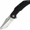 Begg Knives Astio - Blk G10 (3.50" D2) BG008
