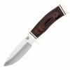 Buck Knives Buck Vanguard Fixed DymaLux Walnut (4.3" 420HC Satin) 0192BRS-B