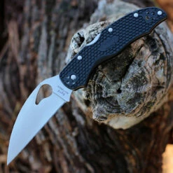 Byrd Harrier 2 - Blk FRN (3.38" 8Cr13MoV Plain) BY01PBKWC2