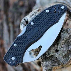 Byrd Harrier 2 - Blk FRN (3.38" 8Cr13MoV Plain) BY01PBKWC2 -Knifeworks Sales Shop BY01SBKWC2.3 01583.1646068918