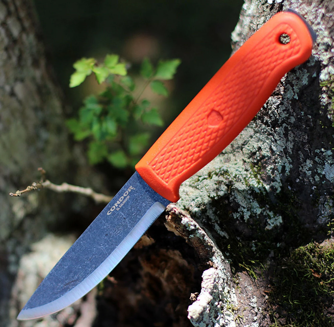 Condor Terrasaur Fixed Blade CTK3947-4.1 Orange Polypropylene Handle 1 Condor Terrasaur Fixed Blade CTK3947-4.1 Orange Polypropylene Handle