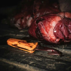 Cold Steel Click N Cut Hunting Kit (Interchangeable Blades) CS-CC-FLDKIT -Knifeworks Sales Shop Click And Cut Hunting Kit V2 06367 94165.1671219702