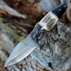 Damascus Hunter - Stag/Buffalo (3.75"Damascus) DM-1294SG