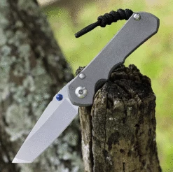 Chris Reeve Knives Small Inkosi Tanto ( 2.8" CPM S45VN Stonewashed) SIN-1042 (DOB-6/29/22)