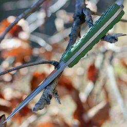 Bradford Guardian3, 3.5" N690 Plain Blade, Toxic Green/Black G-10 Handle -Knifeworks Sales Shop brad3fe010 1 78040.1566585945