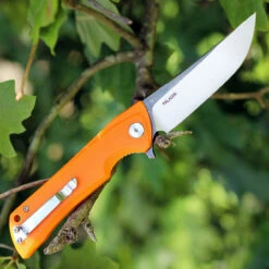 Bestech Paladin BG13C-2, 3.54" D2 Steel Black/Satin Plain Blade, Orange G-10 Handle -Knifeworks Sales Shop btbg13c2 62545.1566585994