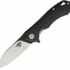 Bestech BTKG11A1 Beluga, 3.0" Sandvick 12C27 Black/Satin Plain Blade, Black G-10 Handle