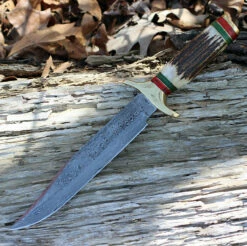 Damascus 1032 Bowie, 9" Damascus Plain Blade, Stag Handle