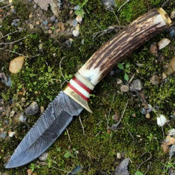 Damascus 1046 Whitetail Skinner, 3.75" Damascus Plain Blade, Round Stag Handle