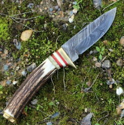Damascus 1046 Whitetail Skinner, 3.75" Damascus Plain Blade, Round Stag Handle -Knifeworks Sales Shop dm1046.3 05510.1566586040