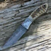 Damascus 1050RM Hunter, 4" Damascus Plain Blade, Ram's Horn Handle