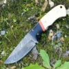 Damascus 1068 Skinner, 3.75" Damascus Plain Blade, Smooth White Bone Handle