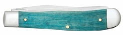 Case Trapper 39159 - Cardinal Embellished Natural Bone Color Wash (6254 SS) -Knifeworks Sales Shop jcdiivpcfvs0uud3vjgx 29780.1670350641