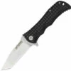 Blackjack International Model, Tanto Blade