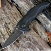 Brous Blades The Exo D2 Acid Stonewashed Finish Blade, Black Titanium Handle Flipper