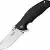 Dendra Typhoon, D2 Tool Steel Satin Finish Blade