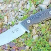 Dendra Russian Bear Fixed Blade, Satin Niolox Steel, Black Micarta Handle