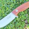 Dendra Russian Bear Fixed Blade, Satin Niolox Steel, Santos Wood Handle