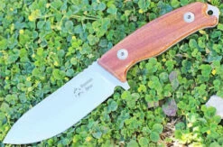 Dendra Russian Bear Fixed Blade, Satin Niolox Steel, Santos Wood Handle