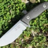 Dendra Russian Bear Fixed Blade, Stonewashed Niolox Steel, Black Micarta Handle