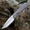 Chris Reeve Large Sebenza 31 Macassar Ebony Inlay (3.61" S45VN)- L31-1116