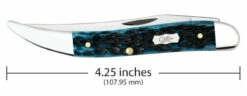 Case Medium Texas Toothpick 51855 -Mediterranean Blue Bone (610094 SS) -Knifeworks Sales Shop n2jk95s5n2pdfhdgtnfr 700x700 22424.1667235772
